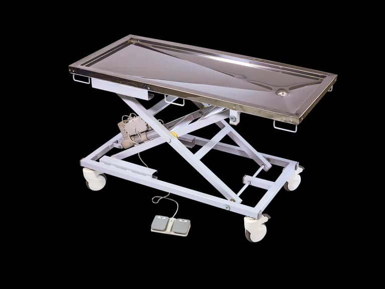 Veterinary Examination Couch