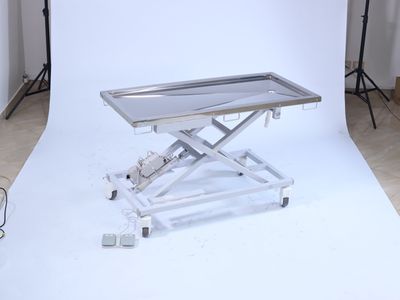 Veterinary Examination Couch