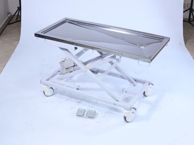 Veterinary Examination Couch