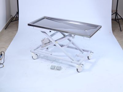 Veterinary Examination Couch
